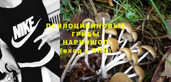 ешки Кинешма