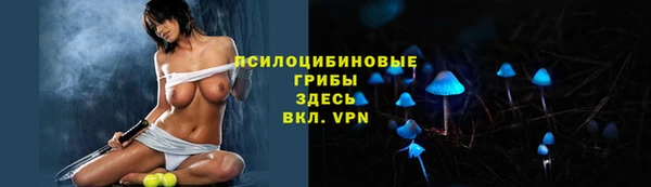 а пвп мука Козельск