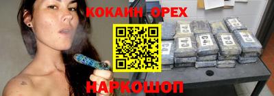 кокс Кингисепп