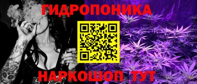 Альфа ПВП Кинель