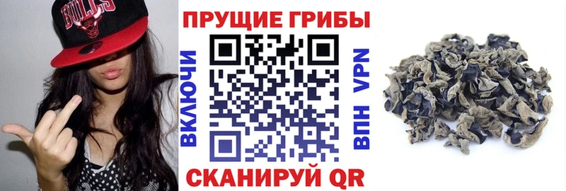 Псилоцибиновые грибы мицелий Лангепас