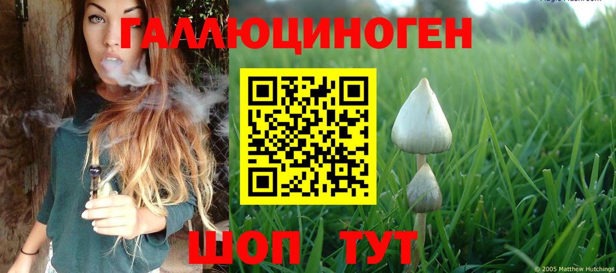 Лангепас  Псилоцибиновые грибы прущие грибы  дарнет шоп  Вход с VPN  Псилоцибиновые грибы Psilocybe 